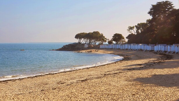 A sandy beach with a row of white beach huts and trees in the background. - Contemporary house with spectacular view of the forest (Notre-Dame-De-Monts)