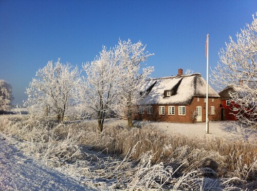 Beautiful thatched cottage on the German-Danish border near Sylt