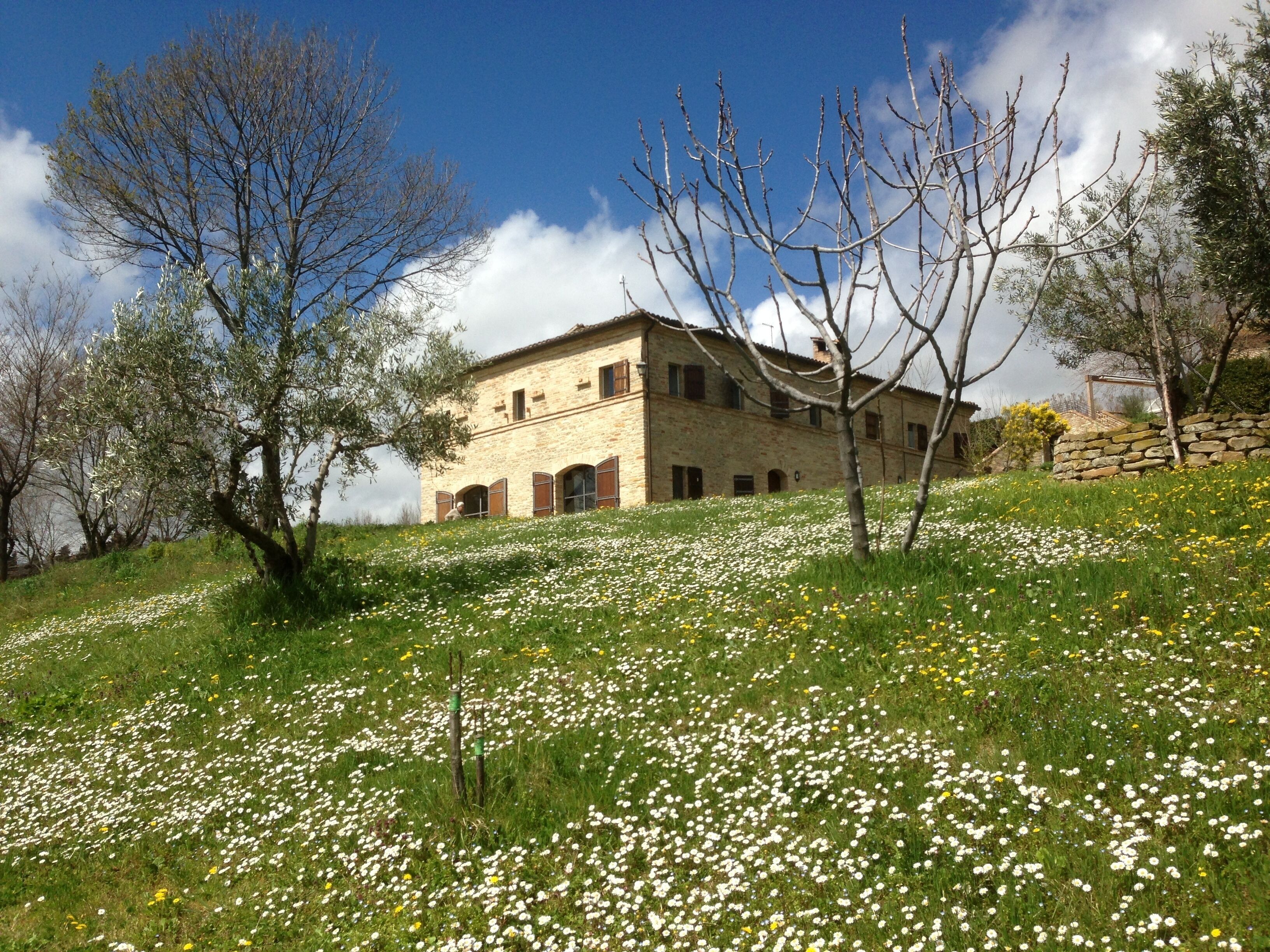 En bygning i sten med buevinduer og et skråt tag, omgivet af en græsmark med hvide og gule blomster.