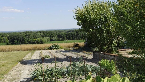 A rural landscape with a dirt path leading through a field, surrounded by trees and a fence.
