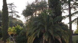 Een weelderige tuin met hoge bomen en een trap die naar beneden leidt.
