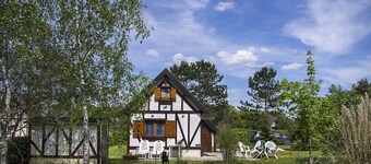 Spring nature and sport in 'fleur de sologne'