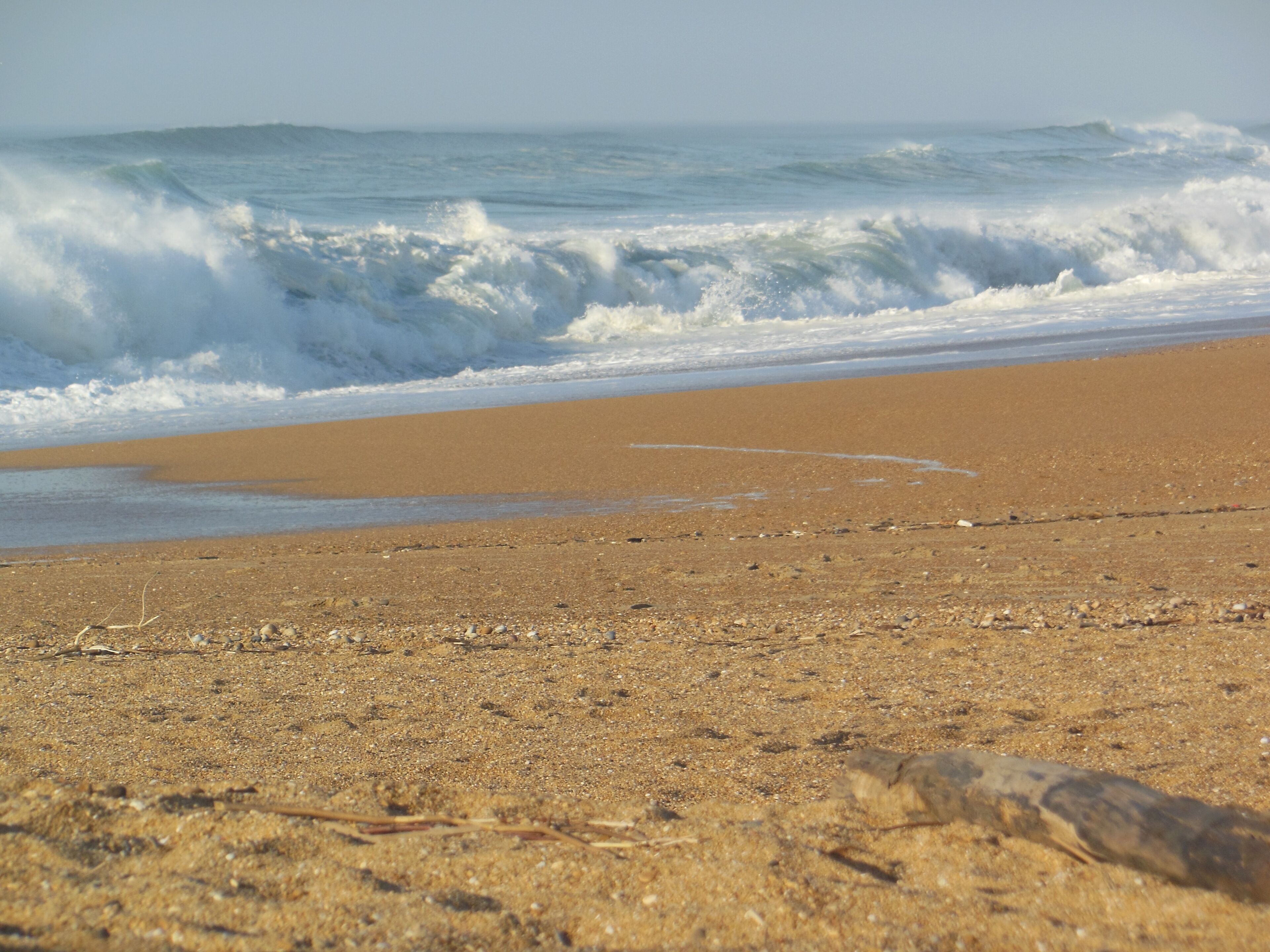 بالقرب من الشاطئ