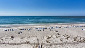 Una playa con hileras de sillas azules y sombrillas, una orilla arenosa y un cielo azul despejado.