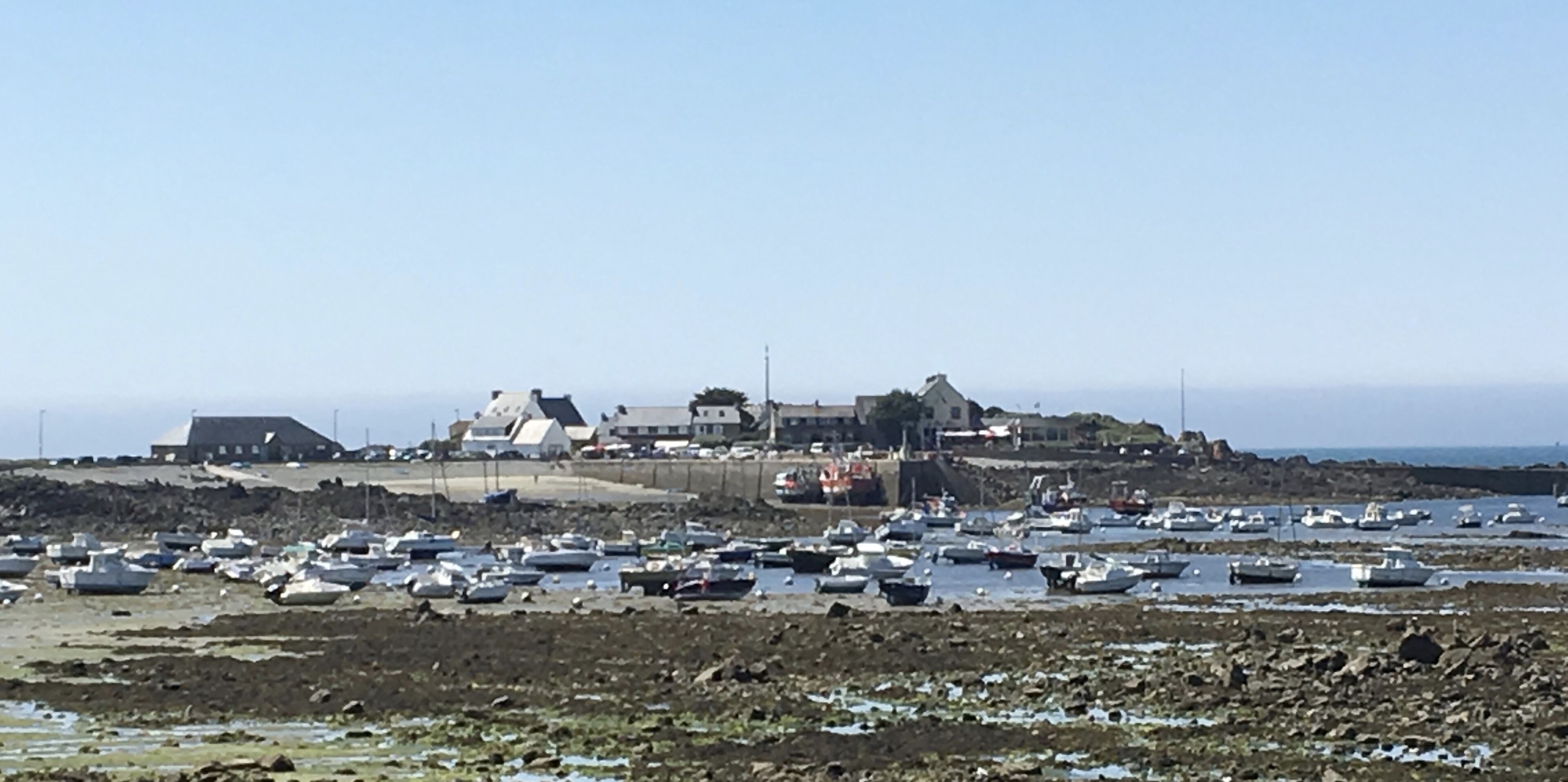 Une zone côtière où de nombreux bateaux sont amarrés dans une marina, avec quelques bâtiments en arrière-plan et une côte rocheuse.
