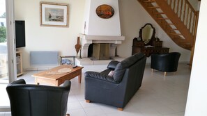 Televisión, chimenea, reproductor de DVD y libros