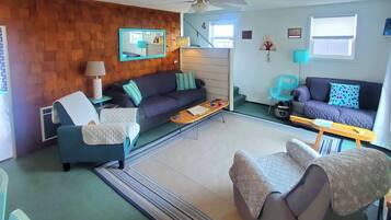 Smart TV, fireplace, DVD player, books