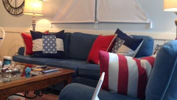 Smart TV, DVD player, books, video library