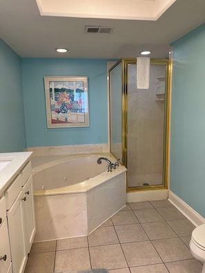 Combined shower/tub, jetted tub, hair dryer, towels