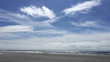 海滩