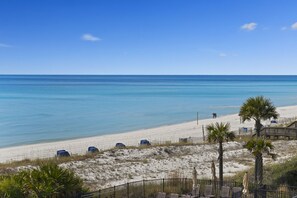 A beach with a clear sky, a sandy shore, and a few palm trees.