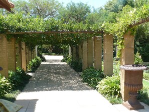 Un sendero de jardín con una pérgola cubierta de follaje, rodeado de plantas y una urna decorativa.