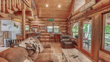 Télévision, cheminée, lecteur de DVD