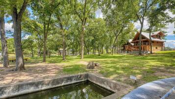 Jardines del alojamiento