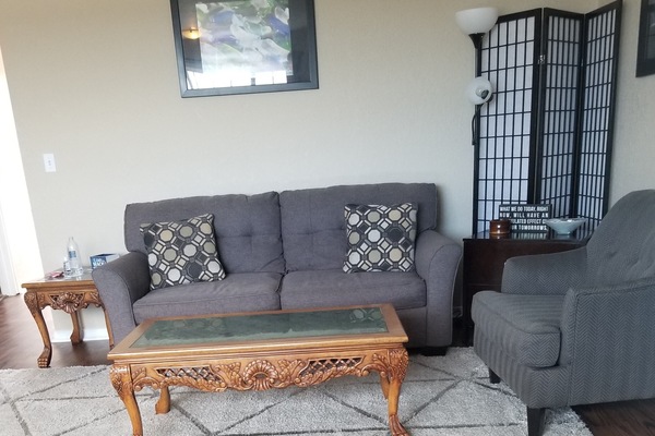 Unit 203: New living room with Queen sleeper.