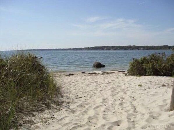 Plage à proximité, chaises longues, serviettes de plage