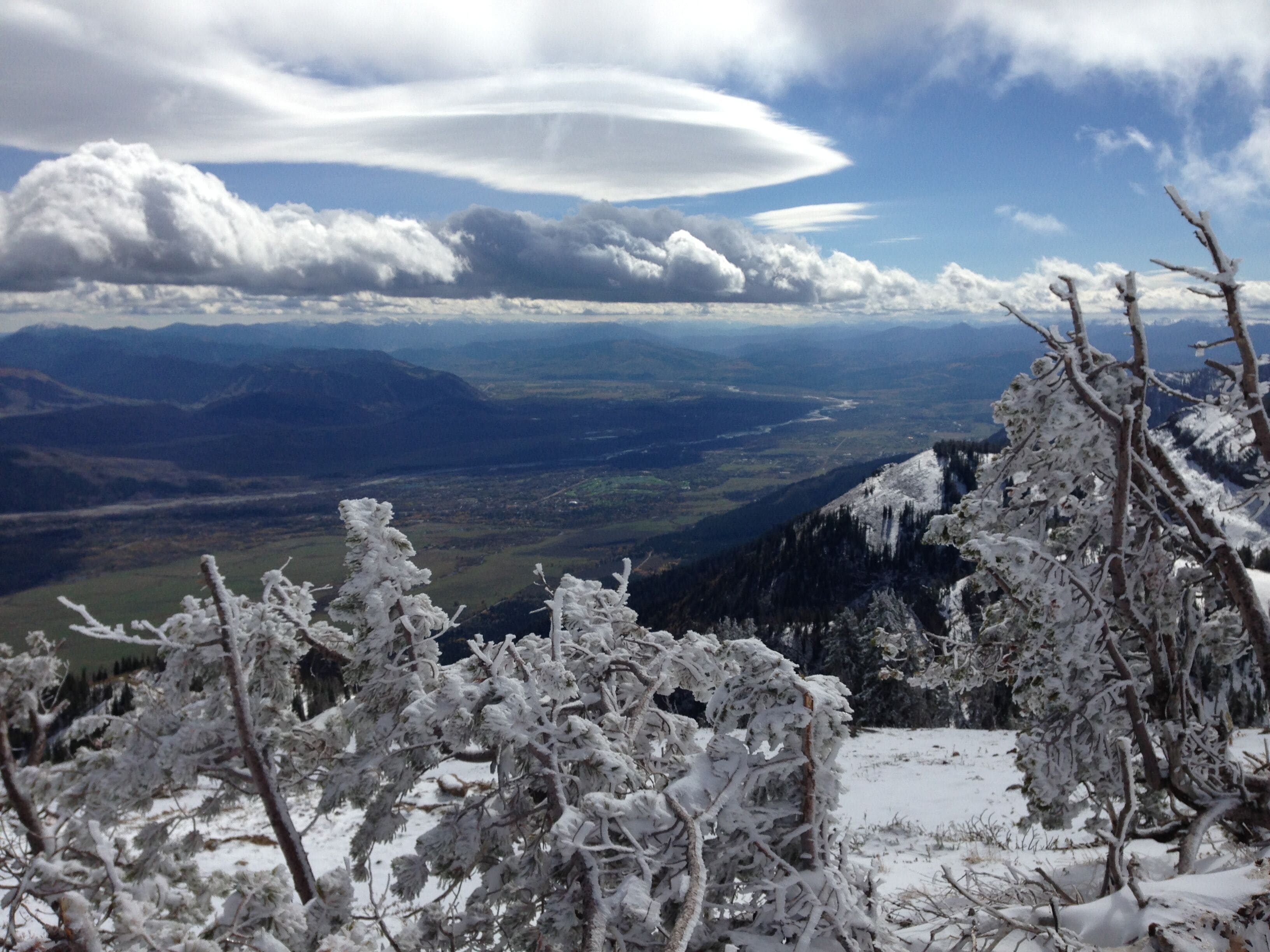 Top of the Tram/Summer