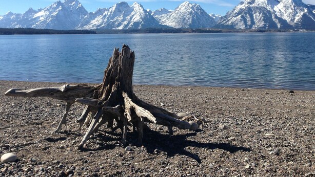 A rocky shore with a driftwood log in the foreground and a calm lake with snow-capped mountains in the background. - Jackson Hole Condo, 5 Miles from Grand Teton National Park,4 miles to ski resort (Wilson)