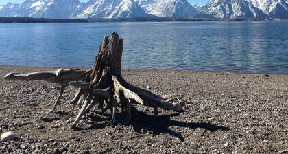 Jackson Hole Condo, 5 Miles from Grand Teton National Park,4 miles to ski resort