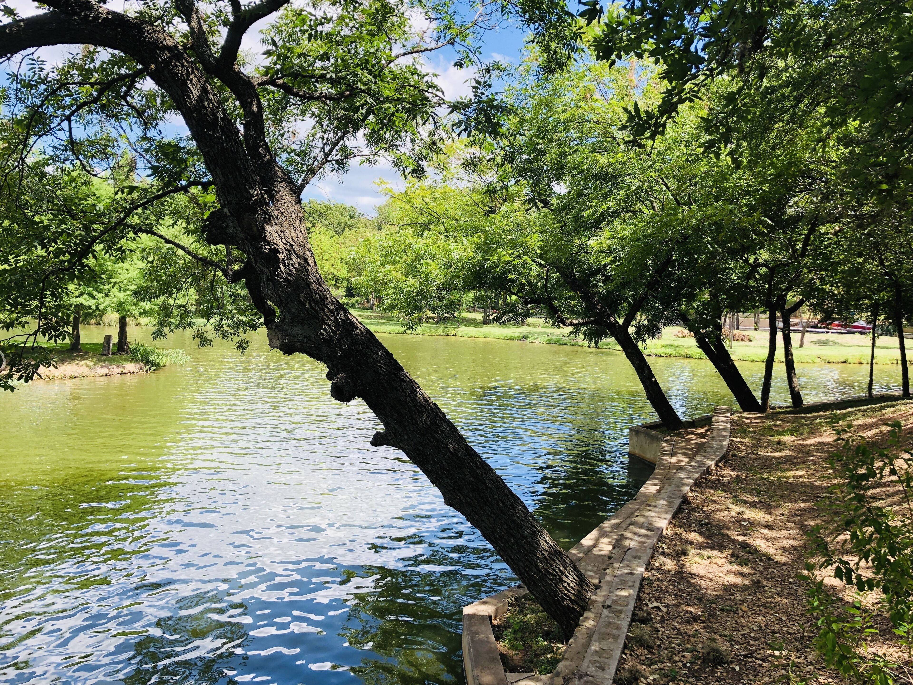 Un parque tranquilo con un río sereno, árboles y un sendero para caminar.