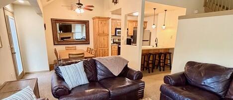 TV connectée, cheminée, lecteur de DVD