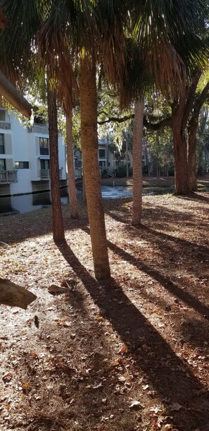 Guests can enjoy serene outdoor spaces surrounded by mature trees and beautiful views of the accommodation building.