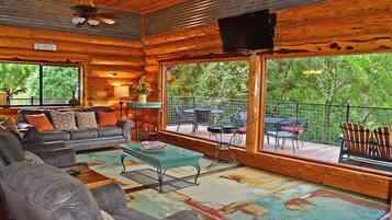 Télévision, cheminée, lecteur de DVD