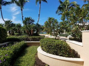 Stroll through the lush garden, surrounded by a variety of greenery and flowering plants.
