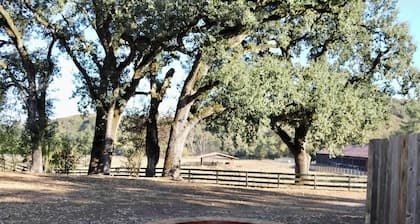 Wine Country Farmhouse: Hot Tub, Deck & Beautiful Views