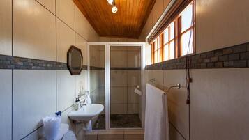Un baño con ducha, inodoro, lavabo y espejo.
