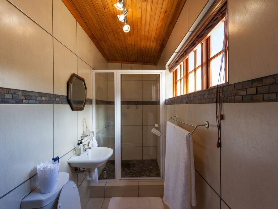 Un baño con ducha, inodoro, lavabo y espejo.