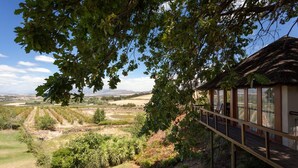 A vineyard with a wooden deck overlooking the fields. - Tulbagh Mountain Manor (Tulbagh)