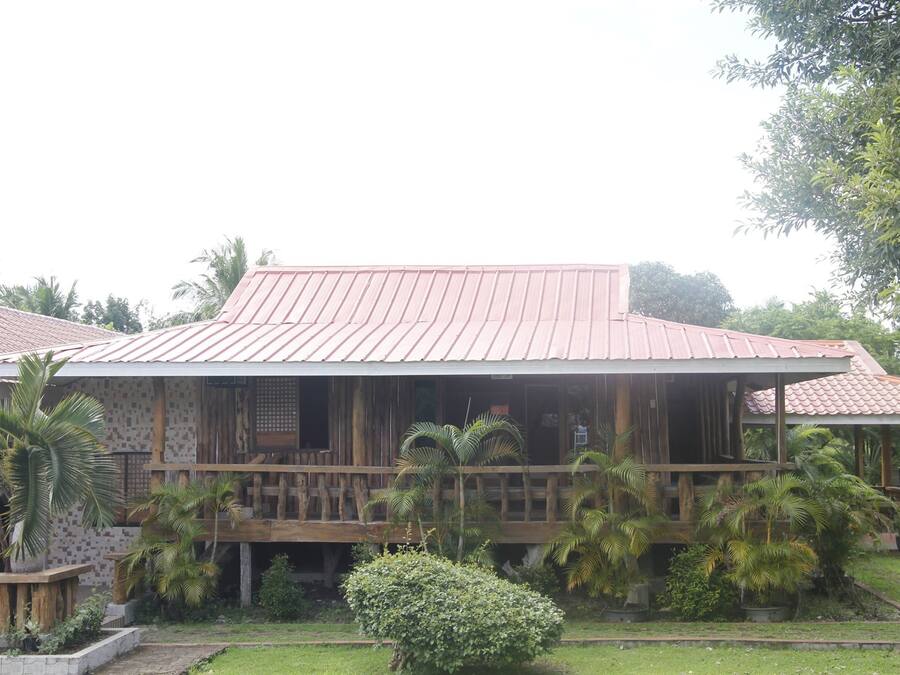 A wooden house with a tiled roof, surrounded by palm trees and a well-maintained lawn.