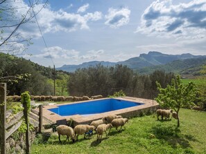 Una piscina al aire libre, sillones reclinables de piscina