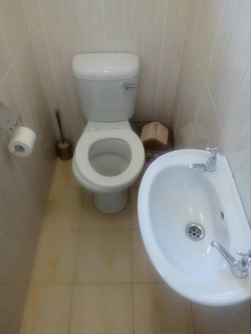 A bathroom with a toilet, a sink, and a toilet paper roll.