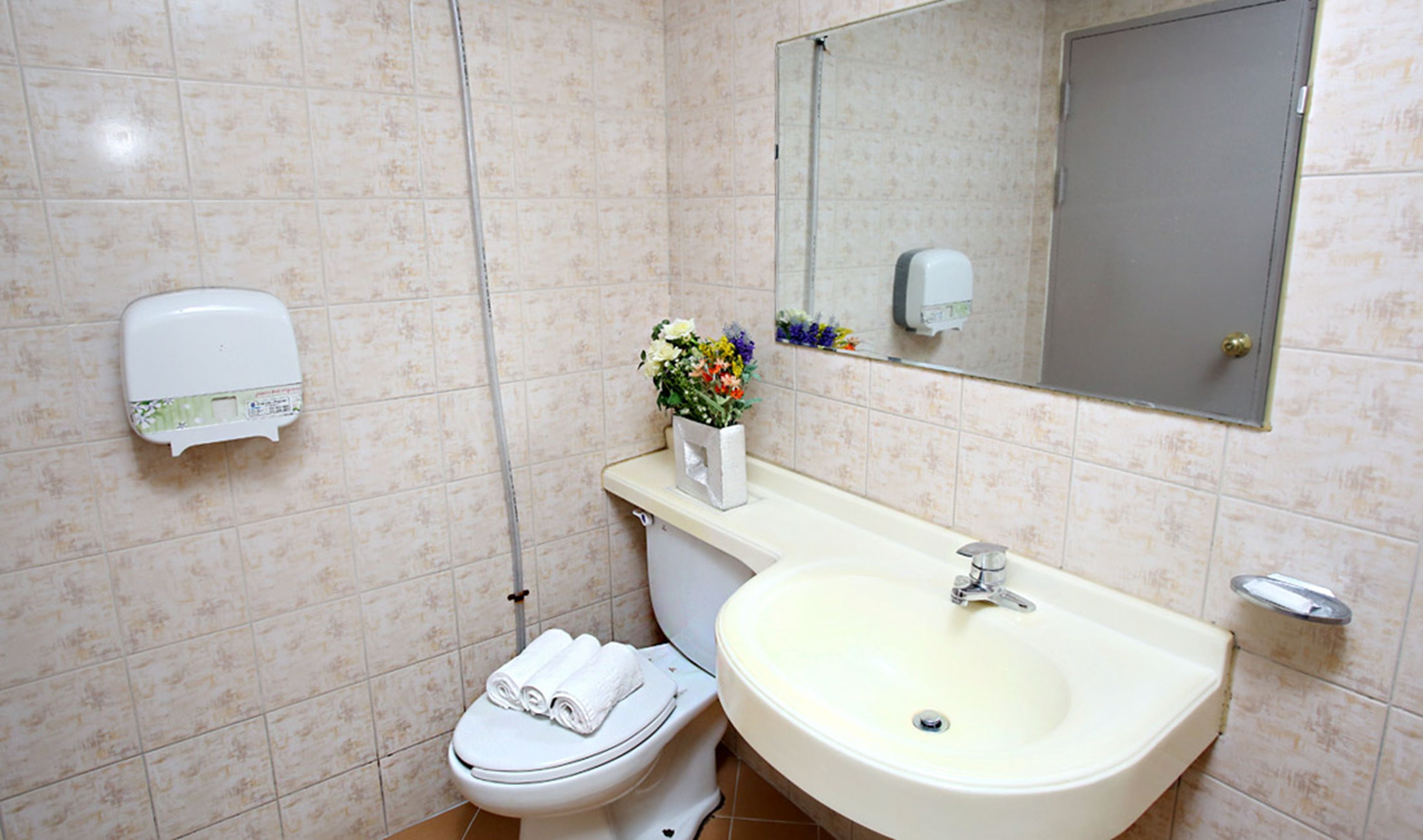 Een badkamer met toilet, wastafel en spiegel.