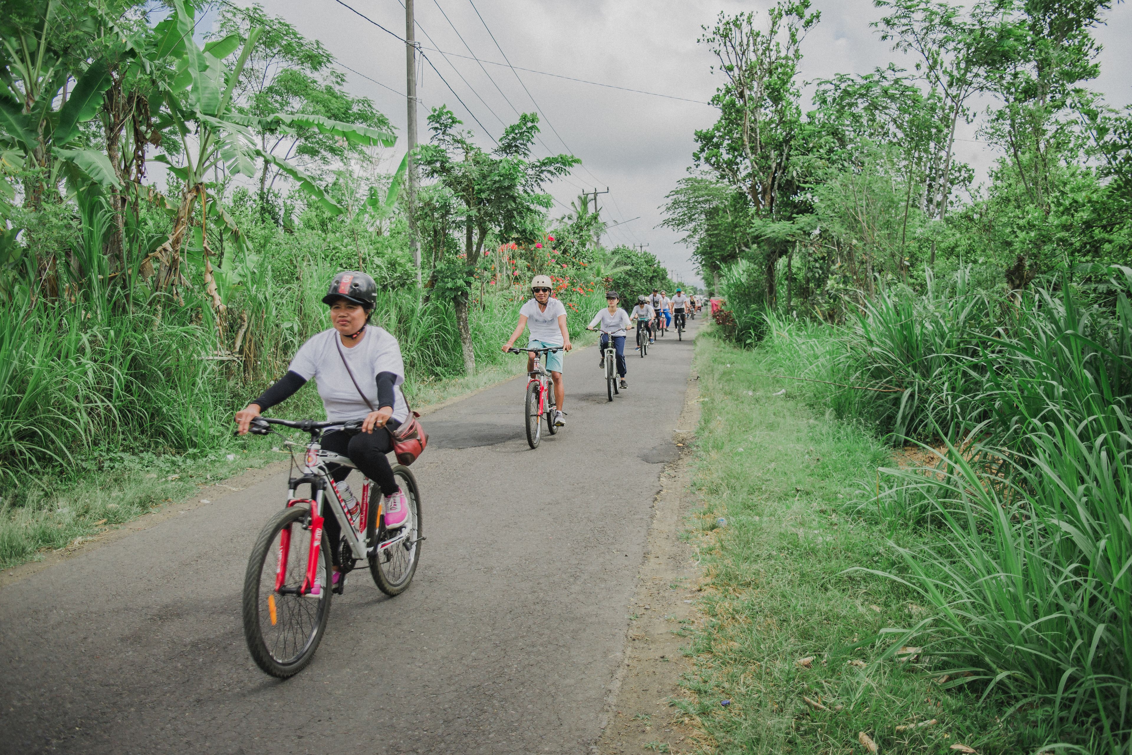 A group of cyclists on a paved path surrounded by lush greenery.