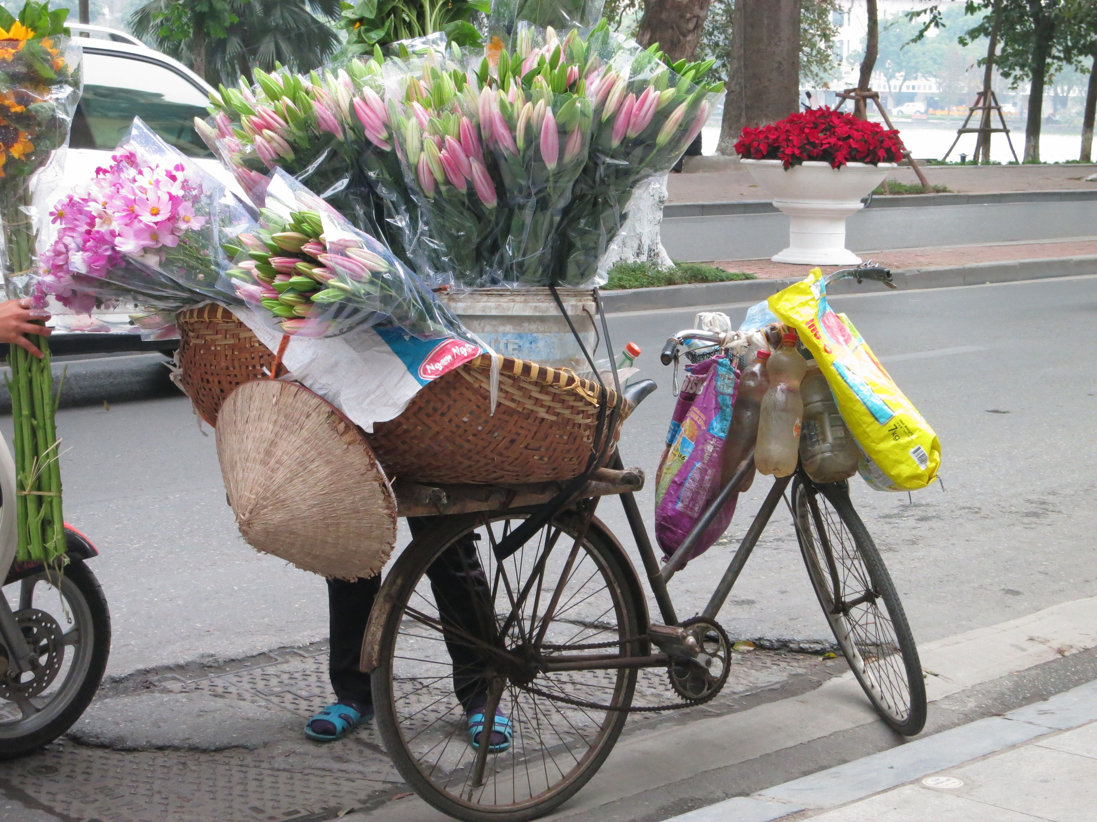 Foto - AncyrA TamTam Hotel by Continent - Near Hoan Kiem Lake