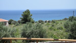 Vista costera con cielo despejado, un cuerpo de agua lejano y vegetación densa.