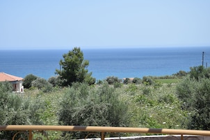 Vista del balcón
