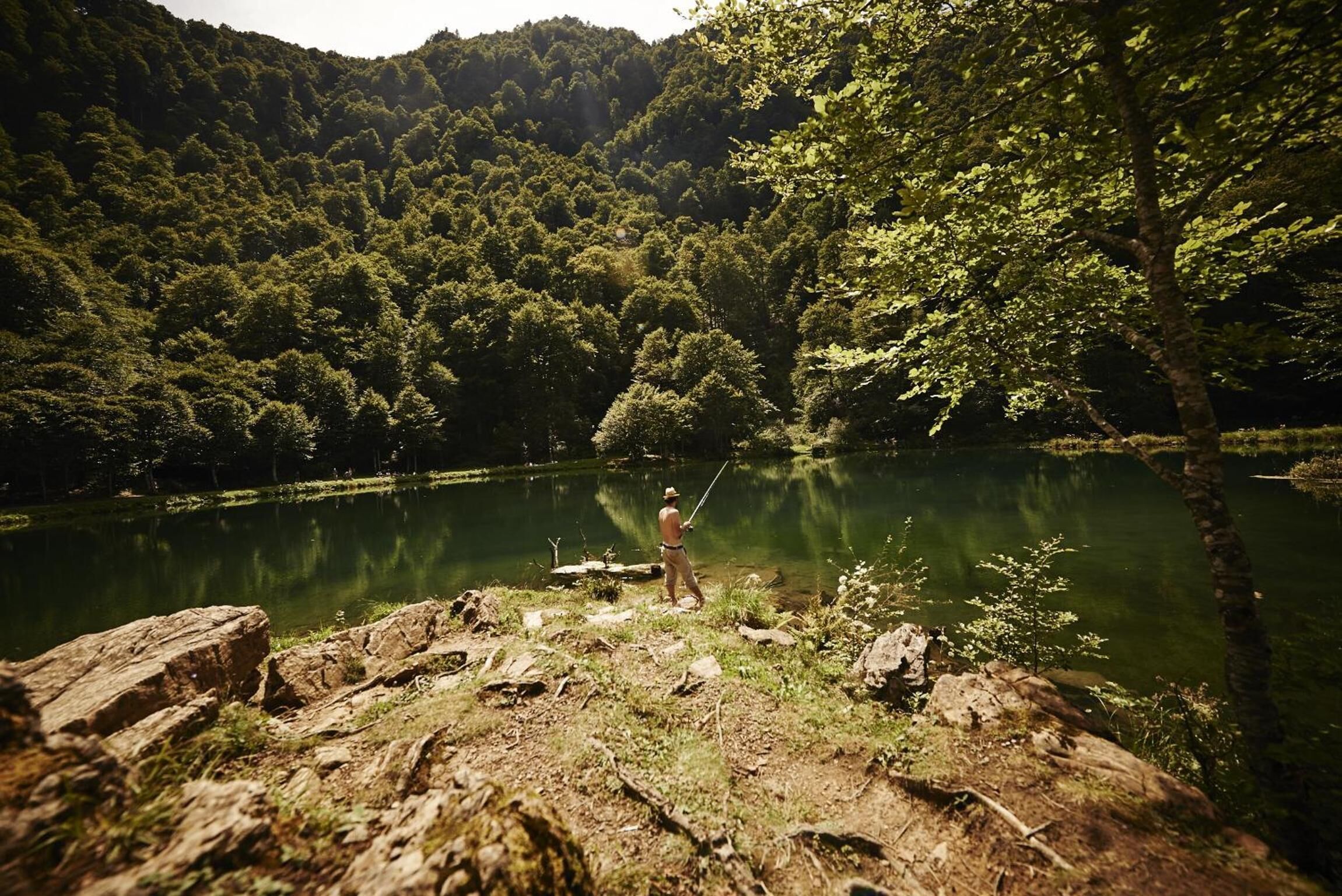 A person fishing by a calm lake surrounded by dense forest.