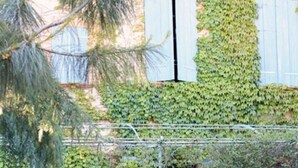 A building with ivy-covered walls and a small pond in front. - La Halte du Temps (Montesquieu-Volvestre)