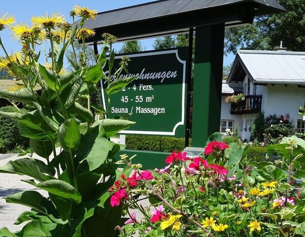 Trädgård