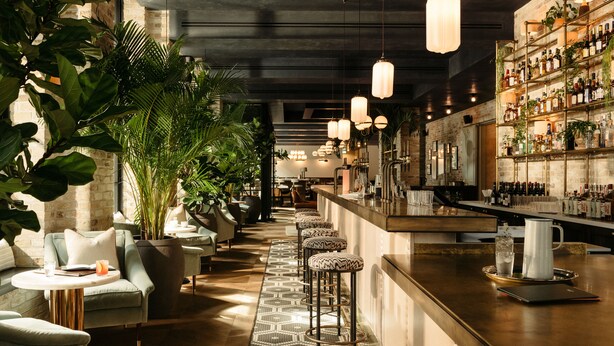 A bar area with a long counter, bar stools, and a variety of bottles. There are plants and a staircase in the background. - The Hoxton, Southwark (London)