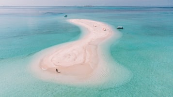 Vue sur la plage/l’océan