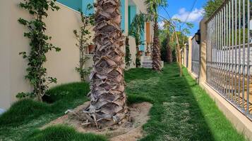 Jardin