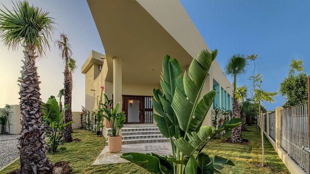 A modern building with a flat roof, a paved entrance area with steps, and a well-maintained garden with palm trees and large-leafed plants. - Hostal Sahaba Zahora (Barbate)