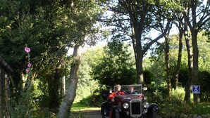 Une voiture ancienne est garée sur un chemin de gravier, entourée d’une végétation luxuriante et d’arbres.