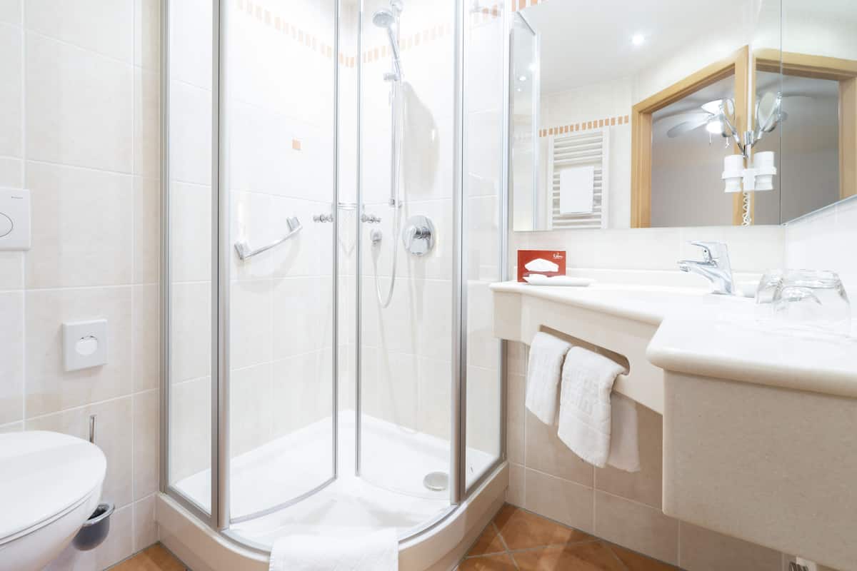 shower, free toiletries, hair dryer, towels