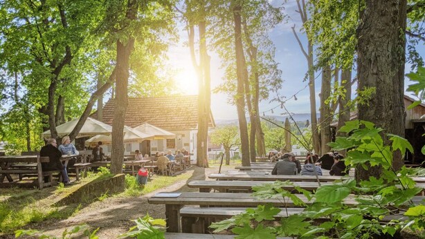 An outdoor dining area with wooden benches and tables, surrounded by trees and a building with a tiled roof. - Hotel Brauerei Gasthof Höhn (Memmelsdorf)